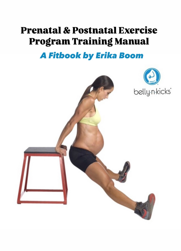 E-book Belly&Kicks Exercise Program Training Manual